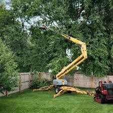 Lawn Watering Services in Bensley, VA